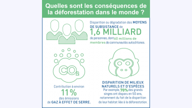 {{{Quelles sont les conséquences environnementales, économiques et sociales ?}}} -* Disparition ou dégradation des <sc>moyens de subsistance</sc> de <sc>{{1,6 milliard}}</sc> de personnes, dont {{60~millions de membres}} de communautés autochtones. -* Contribution à environ {{11~%}} des émissions de <sc>gaz à effet de serre</sc>. -* <sc>Disparition de milieux naturels et d'espèces</sc> _ Par exemple, {{70~%}} des grands singes ont disparu en 50 ans, notamment du fait de la disparition de leur habitat liée à la déforestation. 