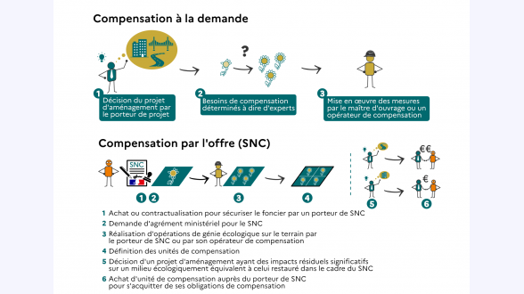 {{Carte présentant le nombre d'espèces d'ongulés sauvages en France métropolitaine et en Corse}} Classes allant de moins de 2~ongulés / 2~ongulés / 3~ongulés / 4~ongulés / 5~ongulés / 6~ongulés { {{Source~:}} Carte issue du rapport Efese~2022, réalisée à partir des données du réseau des ongulés sauvages de l'OFB – données de 2015 à 2019 selon les espèces.} Analyse de la carte, extrait du rapport Efese sur les ongulés sauvages de 2022, page~62~: La progression généralisée des ongulés conduit à une superposition de plus en plus marquée des différentes espèces. Depuis 20~ans, l'aire de répartition du cerf a doublé, notamment par la colonisation des milieux montagnards, et ses effectifs ont été multipliés par~4. En parallèle, les ongulés de montagne ont connu une progression numérique similaire, ainsi qu'une colonisation des milieux de basse altitude. Le chevreuil et le sanglier continuent aussi leur progression en altitude jusqu' à plus de 2~500~m~d'altitude. Les situations de cohabitation entre ongulés se généralisent, principalement dans les milieux forestiers qui représentent environ 40 % des territoires occupés~[…]. Environ 43~% du territoire métropolitain regroupe deux espèces, généralement le sanglier et le chevreuil. C'est dans les régions montagneuses à plus de 600~m qu'on retrouve la plus grande diversité d'ongulés, avec des espèces dites de plaine~(cerf, chevreuil, sanglier) et de montagne (chamois, isard, bouquetin, mouflon)~[…]. Les zones les moins peuplées par les ongulés sont constituées de terrains agricoles et d'espaces urbanisés~[…].