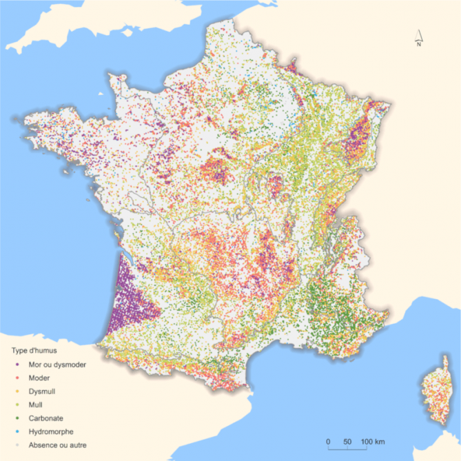  Types d'humus en forêt de production hors peupleraie