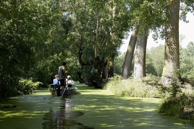 Promenade en barque dans le Marais Poitevin