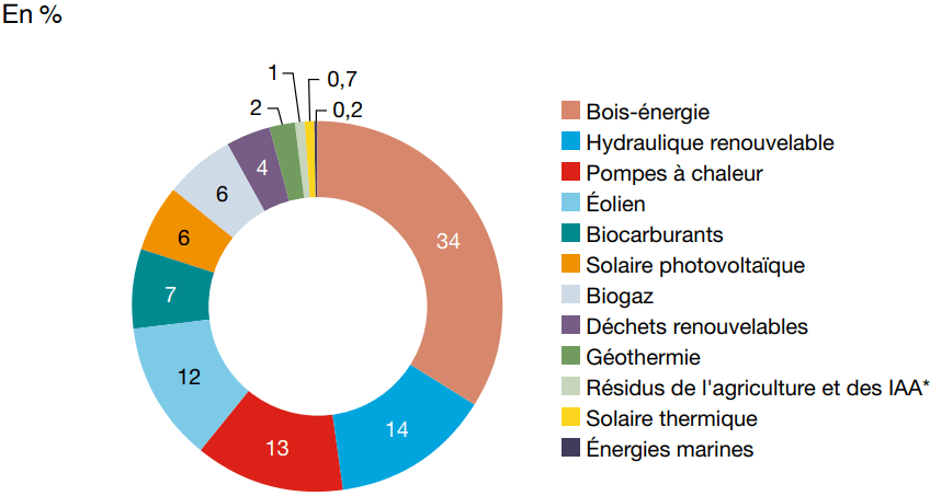 Illustration 3640 - La production primaire d'énergie renouvelable en France