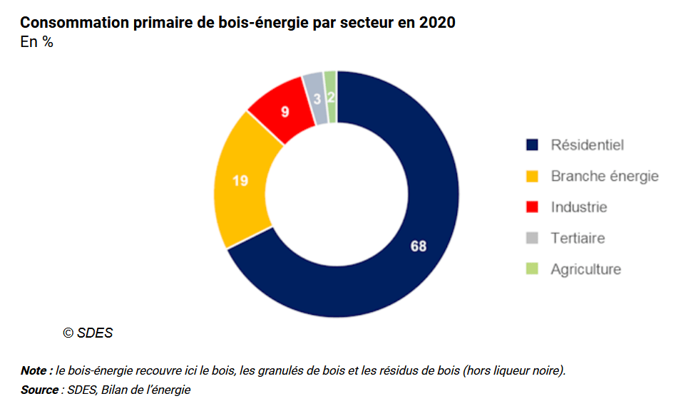 art du bois-énergie dans la consommation d'énergies renouvelables en 2020. 